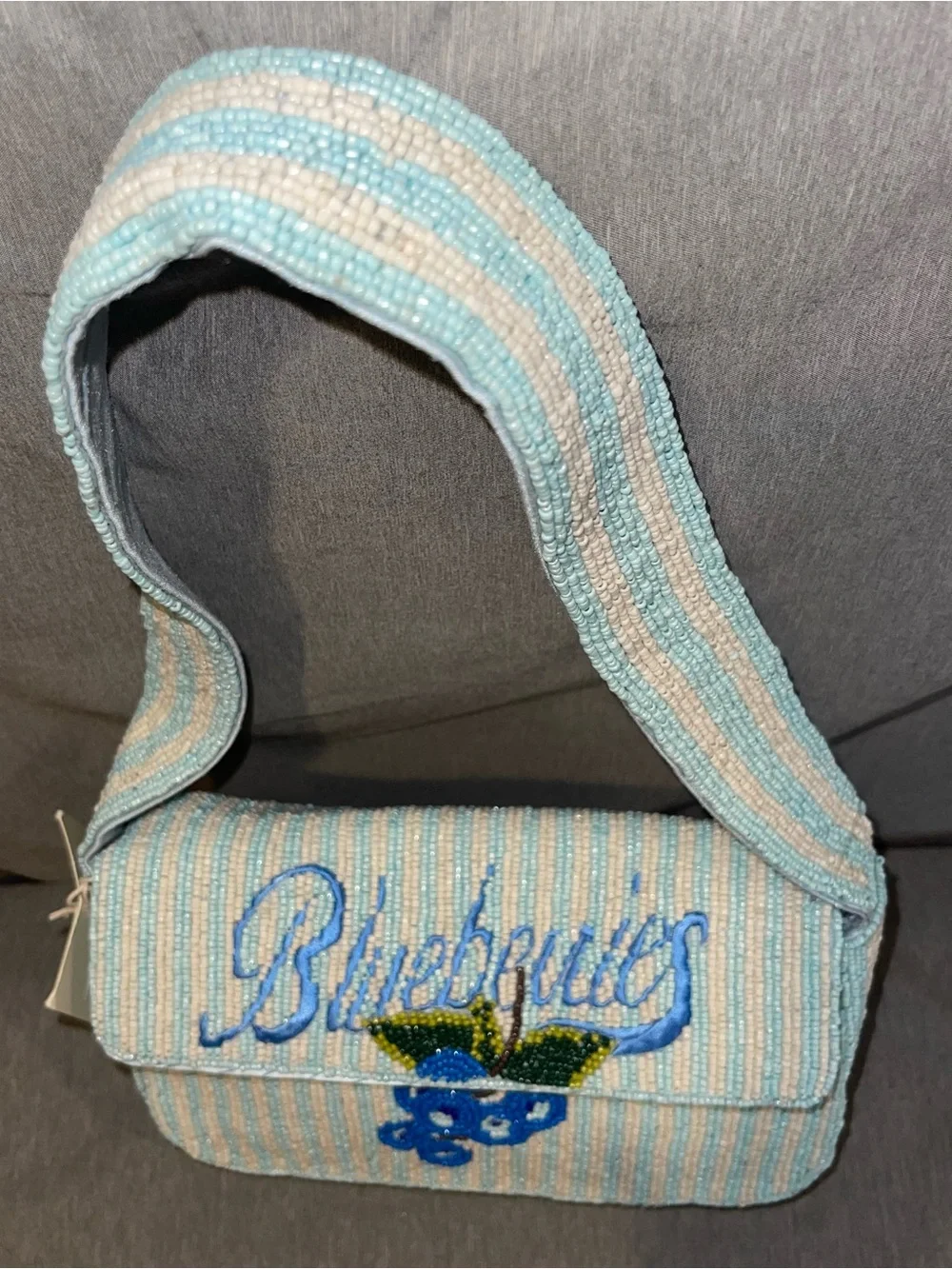 Viral NWT Sol and Mer Beaded Blueberries Blue White Stripes Shoulder Bag